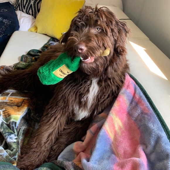 ☺️Meet your Posher, ♥️Bia  💕Welcome !😘 - Picture 9 of 16